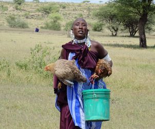 Masai woman with hens
